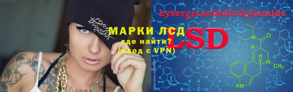 дурь Алзамай