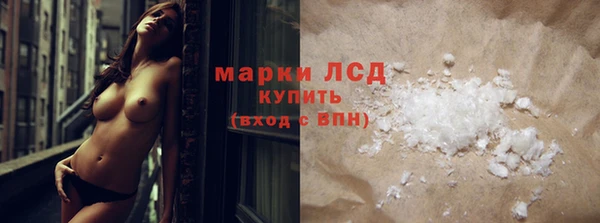 трава Аркадак