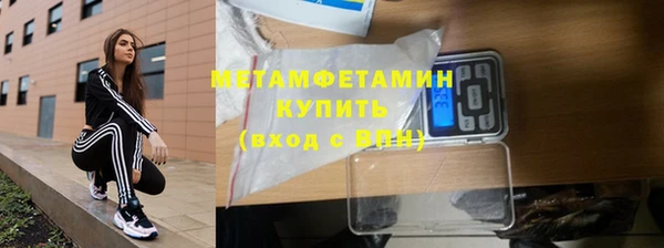 трава Аркадак