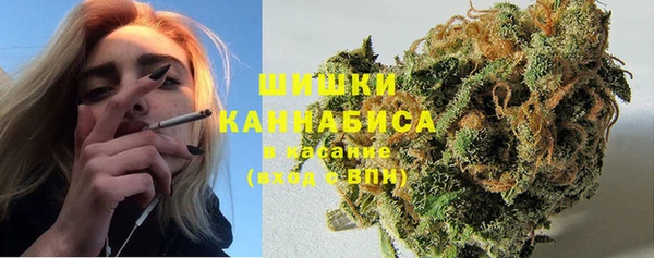 трава Аркадак