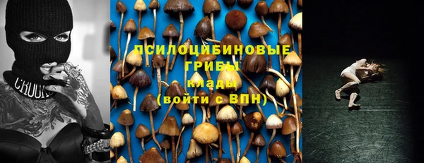 ALPHA PVP Арсеньев