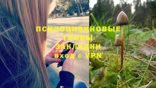 трава Аркадак