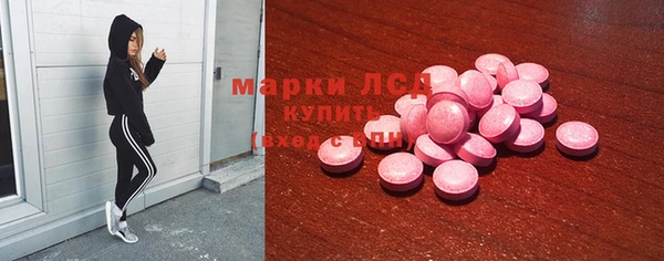 трава Аркадак