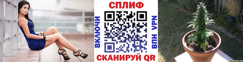 Канабис сатива  хочу наркоту  Камбарка 